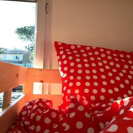 Bed N Go